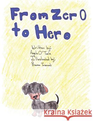 From Zero to Hero Angela T. O'Toole 9781524604035 Authorhouse - książka