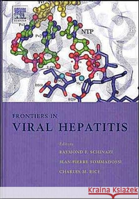 Frontiers in Viral Hepatitis Charles M. Rice 9780444509864  - książka