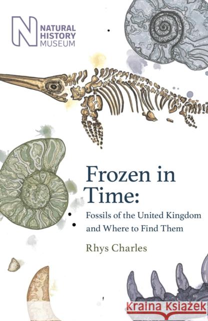 Frozen in Time: Fossils of the United Kingdom and Where to Find Them Rhys Charles 9781409197966 Orion Publishing Co - książka