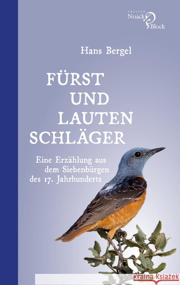 Fürst und Lautenschläger Bergel, Hans 9783868131574 Edition Noack & Block - książka