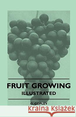 Fruit Growing - Illustrated G. Copley 9781445512211 Pomona Press - książka