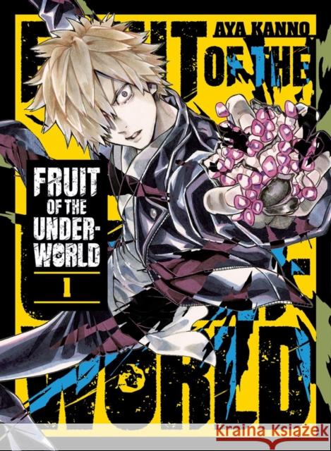 Fruit of the Underworld 1 Aya Kanno 9781647295707 Vertical Comics - książka