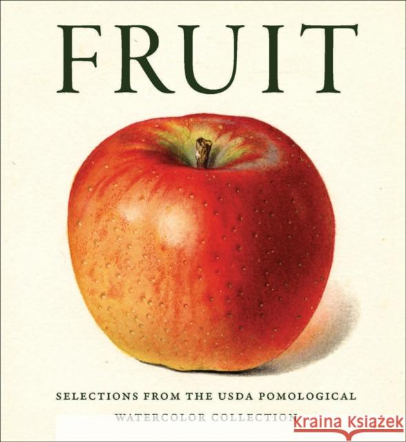 Fruit: Selections from the USDA Pomological Watercolor Collection Editors of Abbeville Press 9780789214270 Abbeville Press Inc.,U.S. - książka