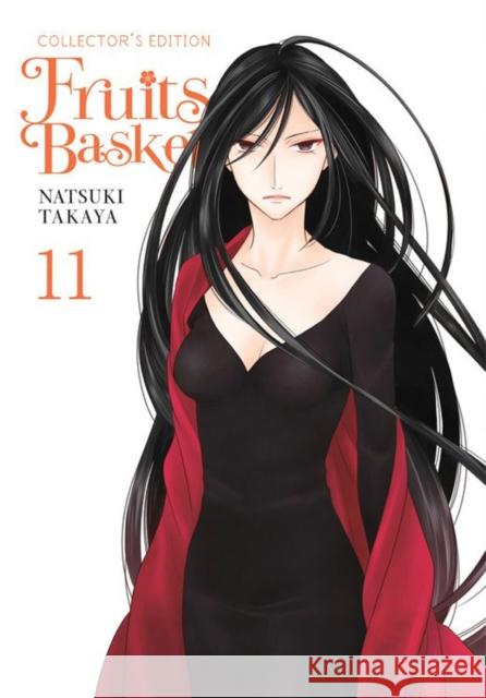 Fruits Basket Collector's Edition, Vol. 11 Natsuki Takaya 9780316501682 Little, Brown & Company - książka