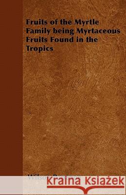 Fruits of the Myrtle Family Being Myrtaceous Fruits Found in the Tropics Wilson Popenoe 9781446537794 Hadley Press - książka