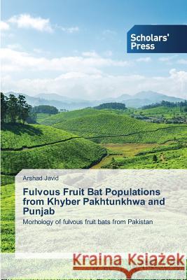 Fulvous Fruit Bat Populations from Khyber Pakhtunkhwa and Punjab Javid Arshad 9783639517217 Scholar's Press - książka