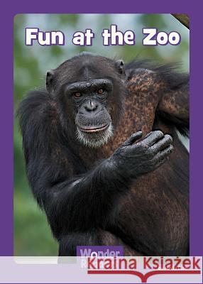 Fun at the Zoo! Molly Dise 9781429686723 Capstone Press - książka