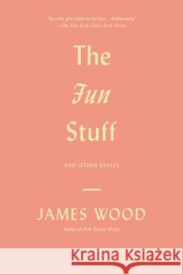 Fun Stuff Wood, James 9781250037831 Picador USA - książka