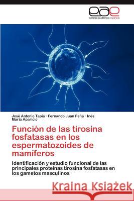 Funcion de Las Tirosina Fosfatasas En Los Espermatozoides de Mamiferos Jos Antonio Tapia Fernando Juan P In S. Mar a. Aparicio 9783659026461 Editorial Acad Mica Espa Ola - książka