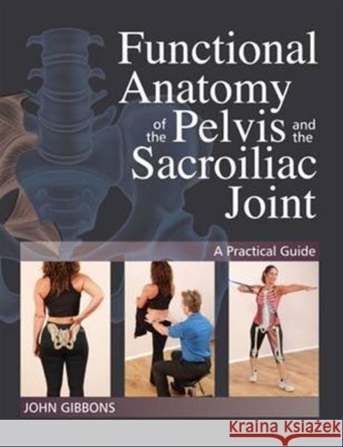 Functional Anatomy of the Pelvis and the Sacroiliac Joint: A Practical Guide John Gibbons 9781905367665 Lotus Publishing - książka