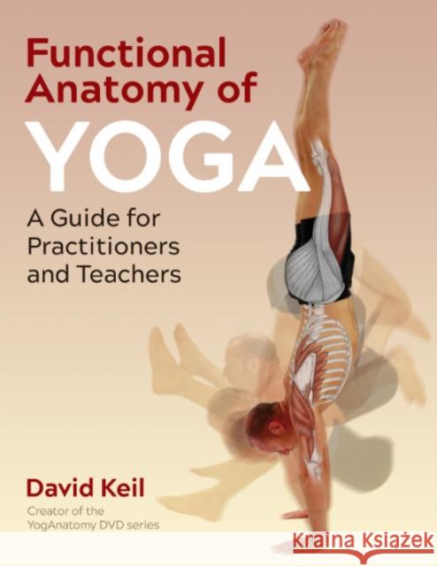 Functional Anatomy of Yoga: A Guide for Practitioners and Teachers David Keil 9781644116272 Inner Traditions Bear and Company - książka