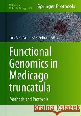 Functional Genomics in Medicago Truncatula: Methods and Protocols Cañas, Luis A. 9781493986323 Humana Press - książka