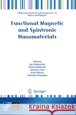 Functional Magnetic and Spintronic Nanomaterials  9789402422566 Springer Netherlands - książka
