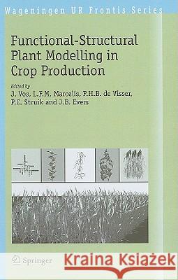 Functional-Structural Plant Modelling in Crop Production J. Vos L. F. M. Marcelis P. H. B. De Visser 9781402060328 Springer - książka