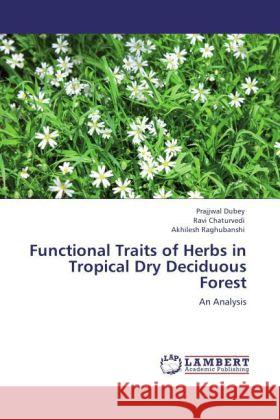 Functional Traits of Herbs in Tropical Dry Deciduous Forest : An Analysis Dubey, Prajjwal; Chaturvedi, Ravi; Raghubanshi, Akhilesh 9783846550069 LAP Lambert Academic Publishing - książka