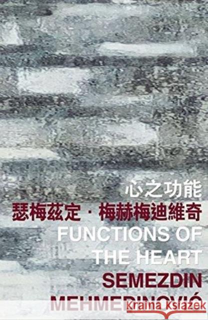 Functions of the Heart Semezdin Mehmedinovic 9789882370432 Chinese University Press - książka