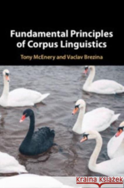 Fundamental Principles of Corpus Linguistics Vaclav Brezina 9781107624689 Cambridge University Press - książka