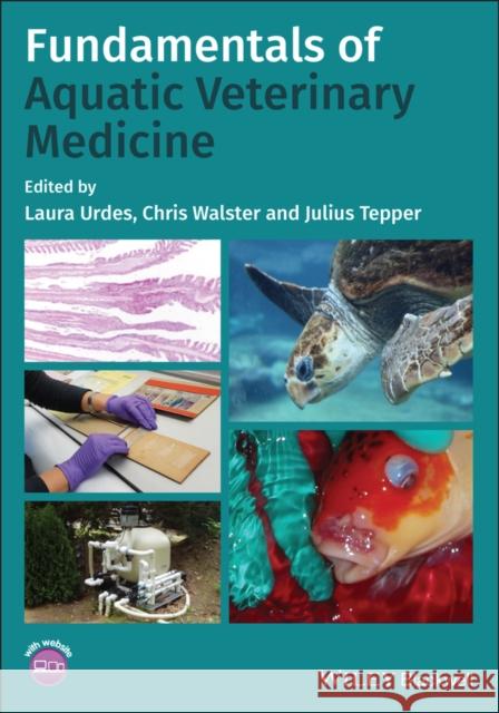 Fundamentals of Aquatic Veterinary Medicine Christopher Walster 9781119612704 John Wiley and Sons Ltd - książka