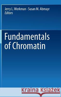 Fundamentals of Chromatin   9781461486237 Springer - książka