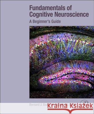 Fundamentals of Cognitive Neuroscience : A Beginner's Guide Bernard Baars 9780124158054  - książka