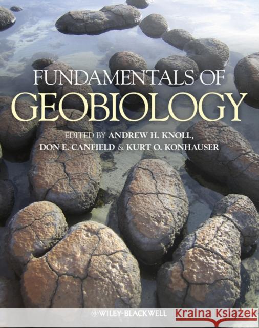 Fundamentals of Geobiology Andrew H Knoll 9781405187527  - książka
