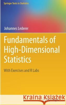 Fundamentals of High-Dimensional Statistics: With Exercises and R Labs Johannes Lederer 9783030737917 Springer - książka