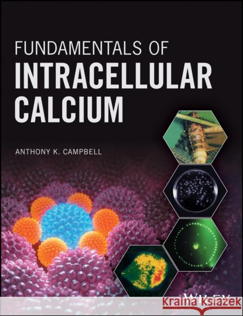 Fundamentals of Intracellular Calcium Campbell, Anthony K. 9781118941874 John Wiley & Sons - książka