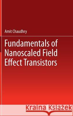 Fundamentals of Nanoscaled Field Effect Transistors Amit Chaudhry 9781461468219 Springer - książka