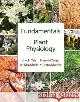 Fundamentals of Plant Physiology Lincoln Taiz Eduardo Zeiger Ian Max Mller 9781605357904 Sinauer Associates Is an Imprint of Oxford Un - książka