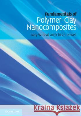 Fundamentals of Polymer-Clay Nanocomposites G. W. Beall 9780521876438 Cambridge University Press - książka
