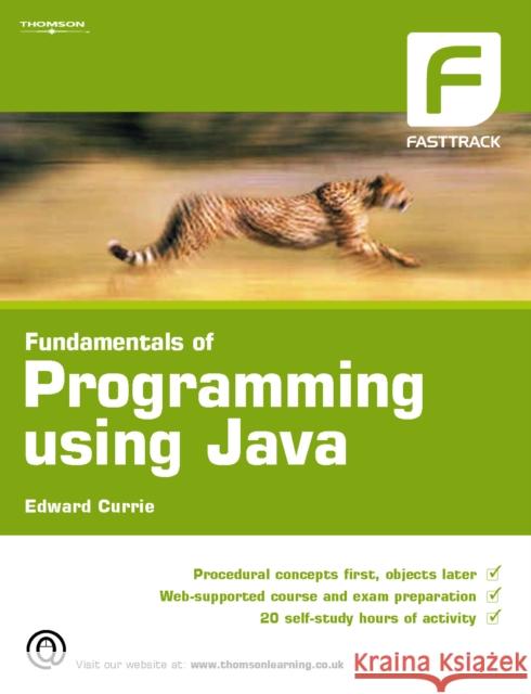 Fundamentals of Programming using Java Edward Currie 9781844804511  - książka