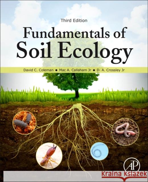 Fundamentals of Soil Ecology David C. Coleman Mac Callaham D. A. Crossle 9780128052518 Academic Press - książka