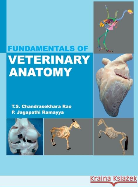 Fundamentals of Veterinary Anatomy T. S. Chandrasekhara Rao 9789390175109 New India Publishing Agency- Nipa - książka