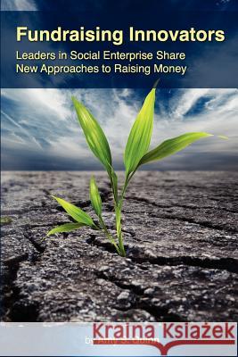 Fundraising Innovators: Leaders in Social Enterprise Share New Approaches to Raising Money Amy S. Quinn 9781935689591 5 Interviews Inc. - książka