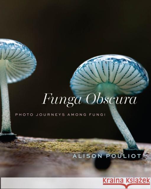Funga Obscura: Photo Journeys Among Fungi Alison Pouliot 9780226843728 University of Chicago Press - książka