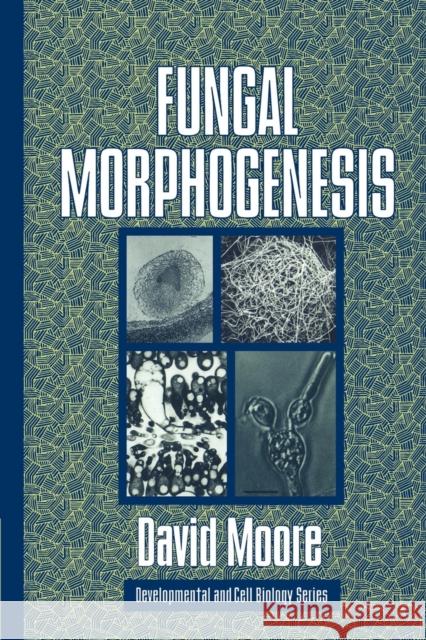 Fungal Morphogenesis S. David Moore David Moore Jonathan B. L. Bard 9780521528573 Cambridge University Press - książka