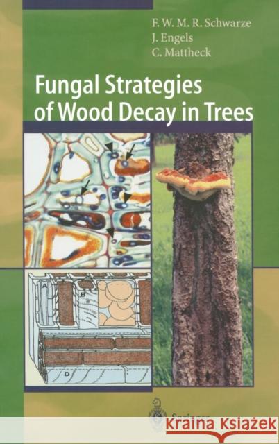 Fungal Strategies of Wood Decay in Trees Francis W. M. R. Schwarze F. W. Schwarze C. Mattheck 9783540672050 Springer - książka