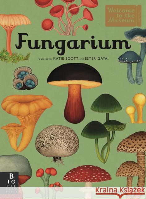 Fungarium Royal Botanic Gardens Kew Ester Gaya  9781787415355 Templar Publishing - książka