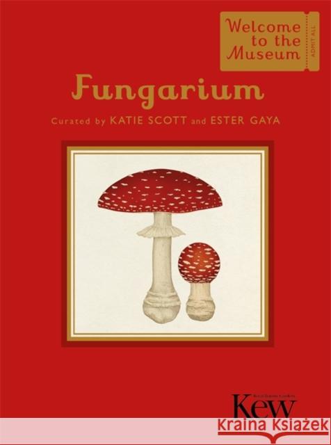 Fungarium (Mini Gift Edition) Ester Gaya 9781800784239 Templar Publishing - książka