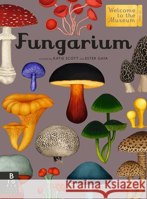 Fungarium: Welcome to the Museum Ester Gaya Katie Scott 9781536217094 Big Picture Press - książka