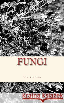 Fungi Thomas H. MacBride 9781533683397 Createspace Independent Publishing Platform - książka