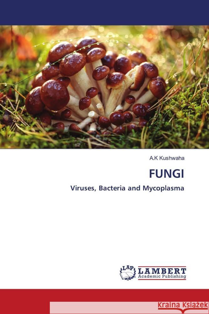 FUNGI Kushwaha, A.K. 9786203857368 LAP Lambert Academic Publishing - książka