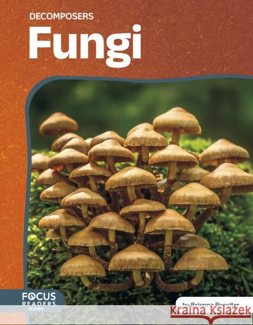 Fungi Brienna Rossiter 9798889983989 North Star Editions - książka