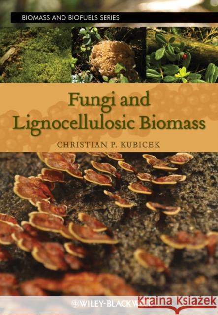 Fungi and Lignocellulosic Biomass Christian P. Kubicek   9780470960097 Wiley-Blackwell (an imprint of John Wiley & S - książka