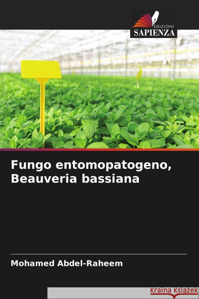 Fungo entomopatogeno, Beauveria bassiana Abdel-Raheem, Mohamed 9786204473611 Edizioni Sapienza - książka