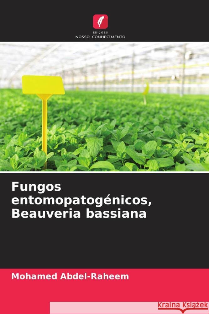 Fungos entomopatogénicos, Beauveria bassiana Abdel-Raheem, Mohamed 9786204473628 Edições Nosso Conhecimento - książka