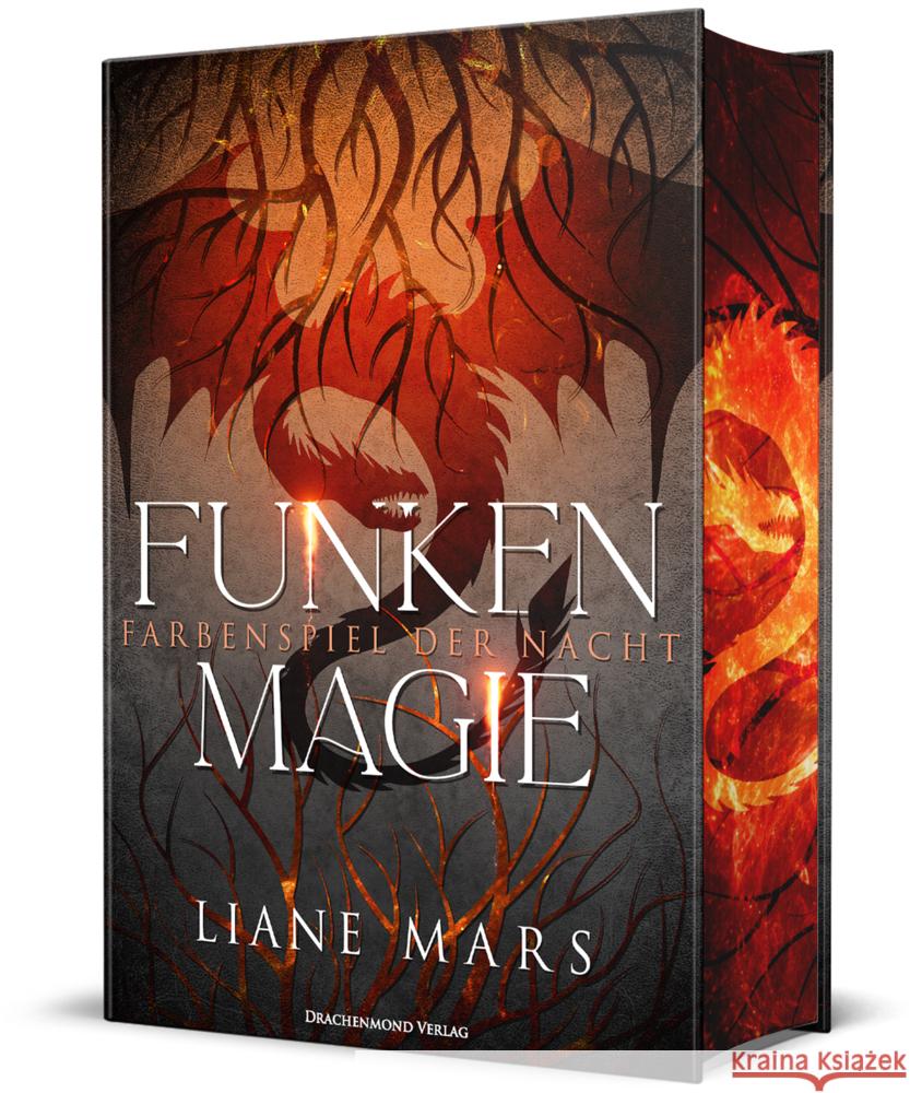 Funkenmagie Mars, Liane 9783959917759 Drachenmond Verlag - książka