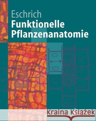 Funktionelle Pflanzenanatomie Walter Eschrich 9783642796852 Springer - książka