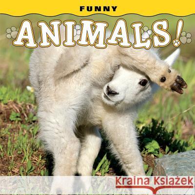 Funny Animals! Steph Lehmann 9781560377306 Farcountry Press - książka