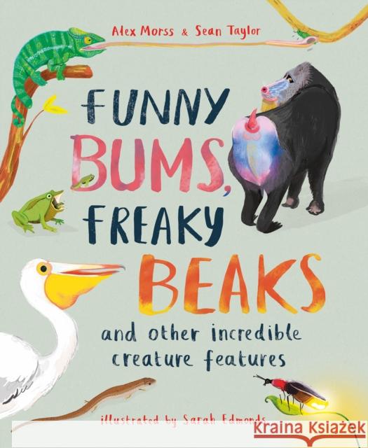 Funny Bums, Freaky Beaks: and Other Incredible Creature Features Sean Taylor 9781803380056 Hachette Children's Group - książka